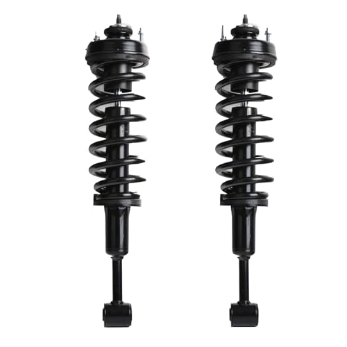 1 Pair Front Shock Absorber Struts & Spring For 06-10 Explorer/Mountaineer