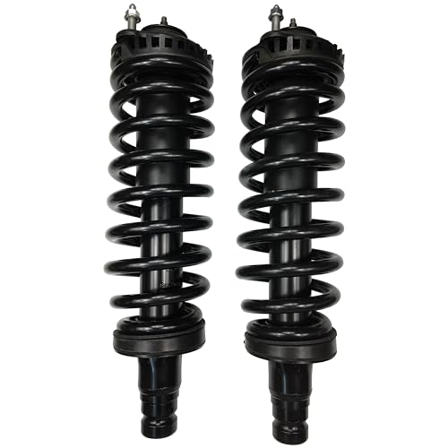 Set Of 2 Front Shock Struts & Spring For Buick Chevry GMC Isuzu Olds Saab