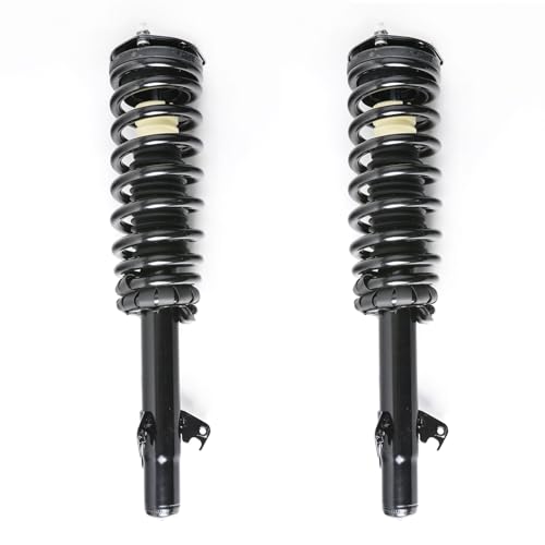 2 Pieces Front Side Suspension Shock Absorber Strut & Springs& SpringsAssembly Complete Gas Kit S0479-A0309